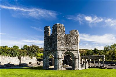 Mellifont Abbey